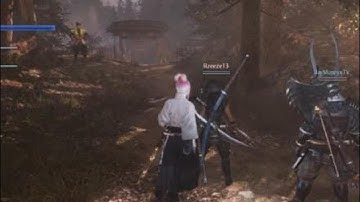 Nioh 2 - Stopping Another Co-op Progress Cheater