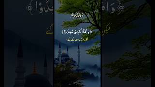 "Before You Give Up, Hear This – Surah Hud Recited with Tears" #quran #quranrecitation #hafiz