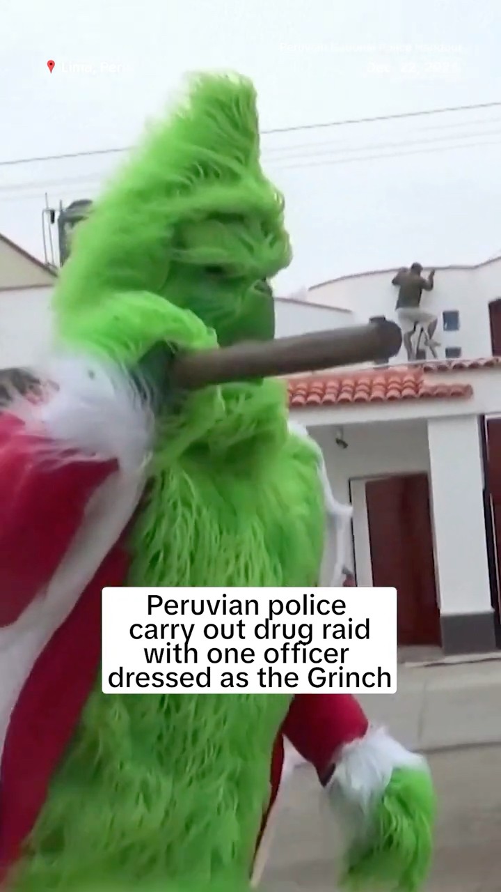 Peruvian police carry out drug raid with one officer dressed as the Grinch