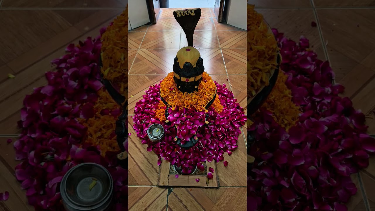 #Har Har Mahadev 🙏🏻🙏🏻🙏🏻🙏🏻🙏🏻🙏🏻🙏🏻🙏🏻🙏🏻