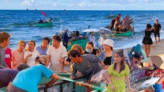 Biển Phước Hải Nghề Lặn Cá Đục Cá Đuối Vô Bờ Sớm║Chợ Quê Ngay Trên Cánh Đồng Ruộng