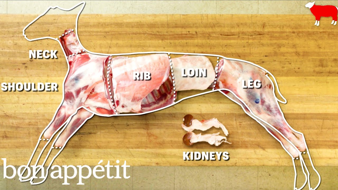 How to Butcher an Entire Lamb: Every Cut of Meat Explained   Handcrafted   Bon Appetit