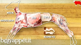 How to Butcher an Entire Lamb: Every Cut of Meat Explained | Handcrafted | Bon Appetit screenshot 2