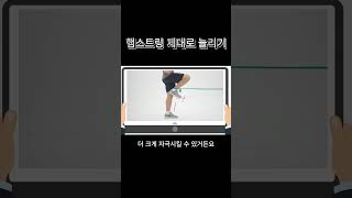 햄스트링 최적화 운동 방법(스트레칭 + 근력)