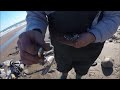 Beach Metal Detecting New Hampshire more silver please!!