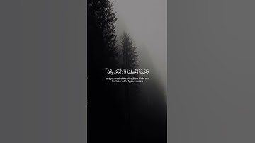 Surah Al-Maidah 110  سورة المائدة #quraniv #quran