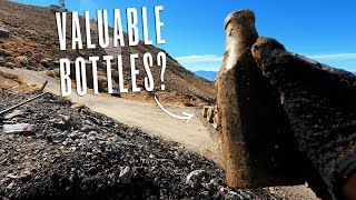 Hunting For Valuable Bottles In A 150YearOld Dump