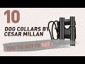 Dog Collars By Cesar Millan // Top 10 Most Popular Dog Collars By Cesar Millan // Top 10 Most Popular
