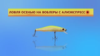 ЛОВЛЯ ЩУКИ НА ВОБЛЕРЫ С АЛИЭКСПРЕСС ОСЕНЬЮ. воблер minnow . ЛОВЛЯ НА ВОБЛЕРЫ С ALIEXPRESS.