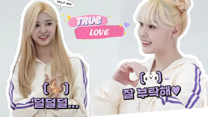 The tom and jerry relationship of chaeda