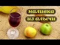 Рецепт наливки из алычи методом самосбраживания