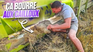 MOISSON ORGE DE RPINTEMPS ET RETOURNAGE DU LIN ! (1 mois dans ma peau 18/30)