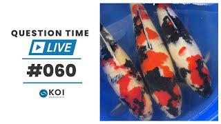 Koi Question Time LIVE #60