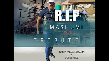 Inkos’yamagcokama x uDlubheke - Tribute to Mashumi (RIP)