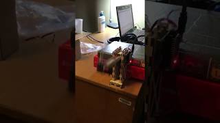 AE 3531 T-RECS Project PID Controller Test Part2