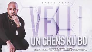 UN CHENS KU BO - CACHE ROYALE FT VELLI LIRX