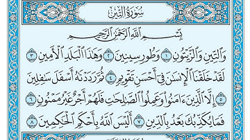 سورة التين بندر بليلة