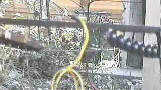 Carlevaro Modellkorblift