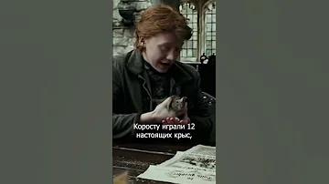 Кто играет крысу Рона Уизли? #shorts  #гаррипоттер