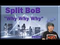 Split BoB &quot;Why Why Why&quot; Nagoya (Reaction)