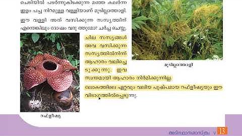 SCERT class 5 science | Kerala PSC science | 5th standard SCERT basic science chap 1 | Ep:1