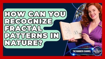 How Can You Recognize Fractal Patterns In Nature? - The Numbers Channel