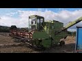 COMBINE HARVESTING 2020- CLAAS DOMINATOR 85