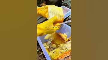 🐝🌺🐝 وأوحى ربك إلى النحل 🐝🌺🐝 ما تيسر من سورة النحل 🐝🌺🐝 القارئ عبد الباسط عبد الصمد رحمة الله عليه 🐝🌺🐝
