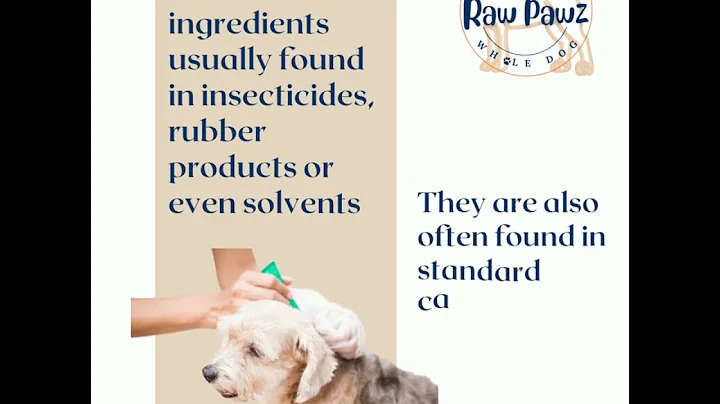 The Natural Way to Prevent Fleas and Ticks