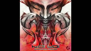 Koi Boi - Future Dimension
