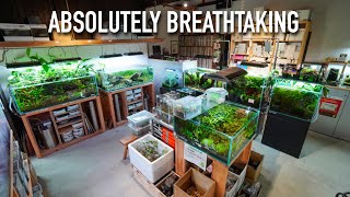 The Most Beautiful Aquascaping Store in Japan