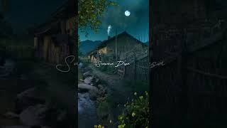Suasana Malam Di Desa  #nature #suasanakampung #relaxing  #suasanaalamdesa #shortvideo #shorts