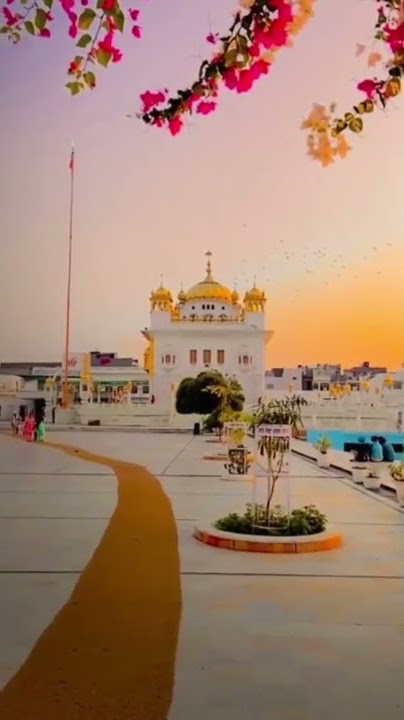 ik baba nanak sunda pakh mera song punjabi States 🙏🙏❤️