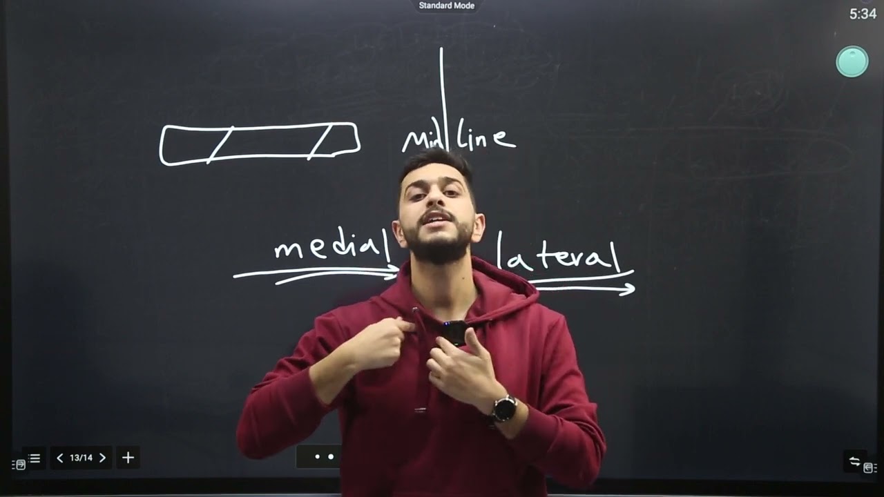 Directional Terms & Anatomical Position