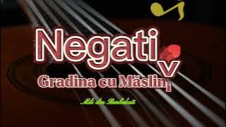 Negativ - Gradina cu Măslini - (Original 2022 ) Mili din Bărbulesti