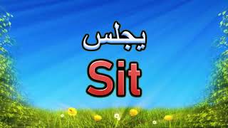 معنى كلمة  sit