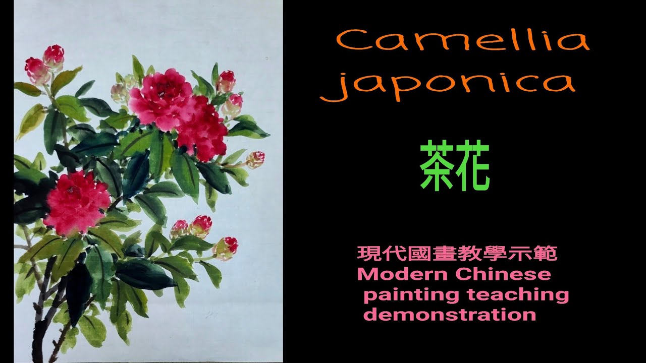 茶花～수묵화चित्रकारी।Chinese brush painting 國畫山水