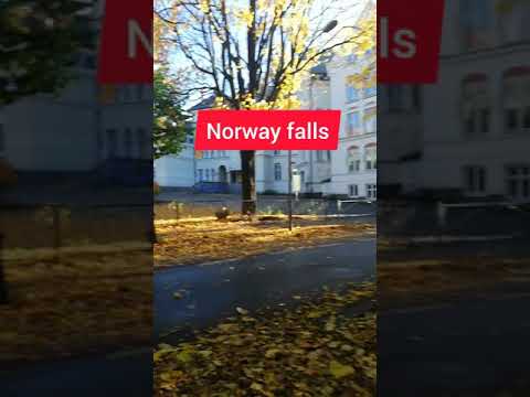 Video: Norsk Cinquefoil