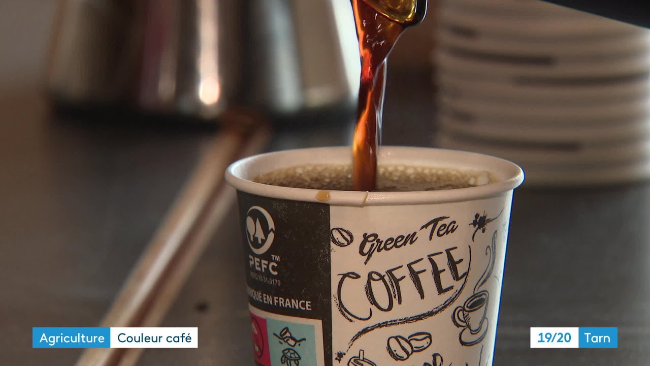 Le café d'orge pour une alternative au café traditionnel - YouTube
