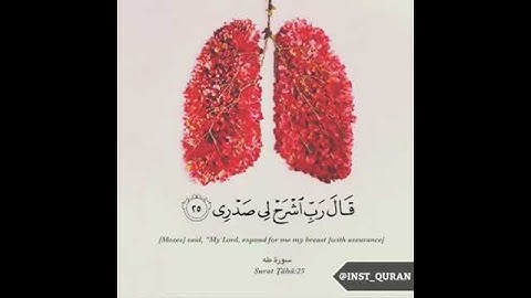 القارئ يوسف كالو