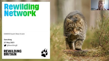 Upscaling rewilding and nature recovery through the Rewilding Network | WEBINAR