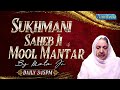SUKHMANI SAHEB JI PATH &amp; MOOL MANTAR LIVE - 24th JAN. 2023
