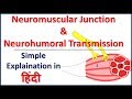 Neuromusular Junction and Neurohumoral Transmission simple explaination in Hindi | Bhushan Science