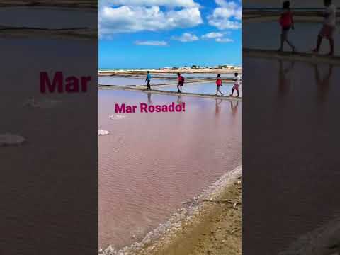 Salinas de Manaure