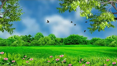 Nature background video effect || landscape background hd