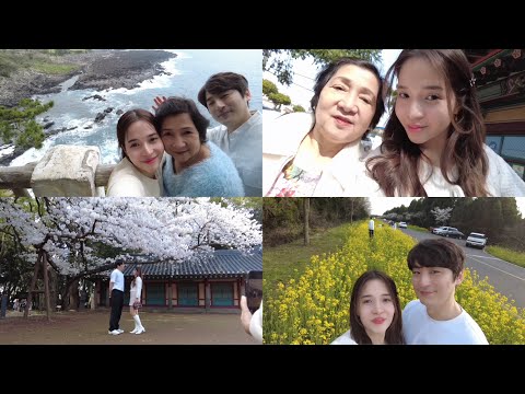 Spring trip to Jeju Island 🌼🇰🇷