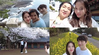 Spring trip to Jeju Island 🌼🇰🇷