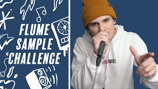 Sam Perry - Flume sample challenge