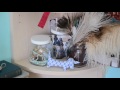 Middle of video