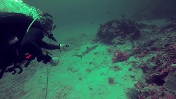 A quick look at the deep (35m) dive that killed my Suunto Zoop Dive Computer